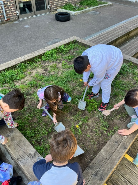 Year 3 Planting Wildflowers to encourage bees!